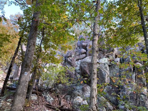 A rocky outcrop surrounded by trees and autumn foliage in a natural setting.