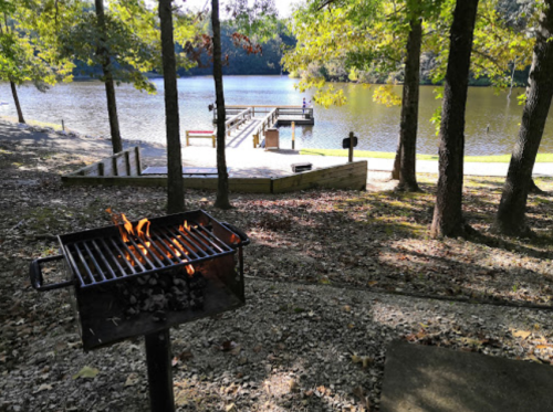 A grill with flames in the foreground, overlooking a serene lake and wooden dock surrounded by trees.