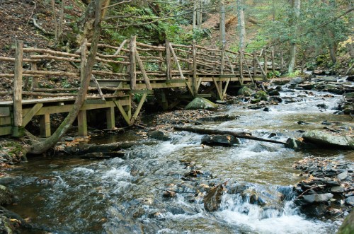 A wooden bridge crosses a flowing stream, surrounded by trees and rocky terrain in a serene forest setting.