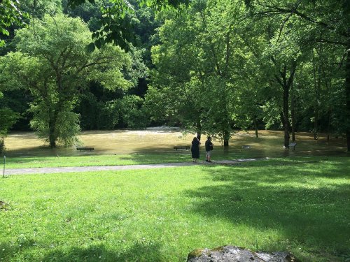 Two people stand by a flooded park area, surrounded by lush green trees and a brown, swollen river.