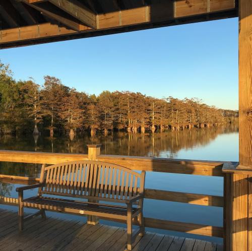 A wooden bench on a dock overlooking a calm lake surrounded by trees and a clear blue sky.