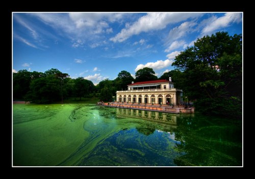 A serene lake with green algae, reflecting a historic building and blue sky with clouds in the background.