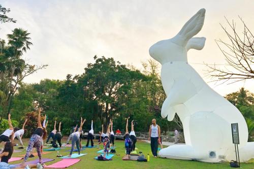 A group of people practicing yoga outdoors in front of a large inflatable rabbit sculpture at sunset.