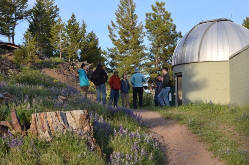 A group of people gathers near an observatory surrounded by trees and wildflowers on a sunny day.