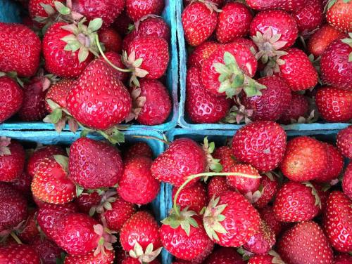 Fresh, vibrant red strawberries piled in blue containers, showcasing their juicy texture and green leaves.