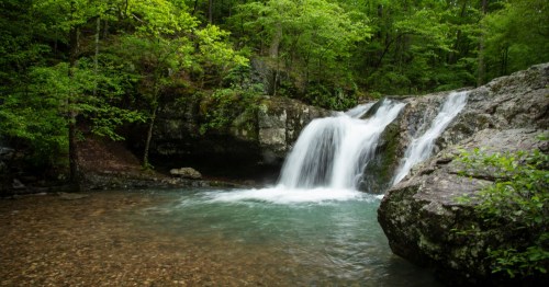 A serene waterfall cascades over rocks into a clear pool, surrounded by lush green trees and foliage.
