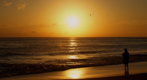 A silhouette of a person fishing on the beach at sunset, with golden hues reflecting on the water.