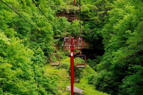 A red ski lift chairlift surrounded by lush green trees and hills.