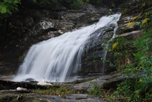 A serene waterfall cascades over rocky terrain, surrounded by lush green foliage and vibrant yellow flowers.