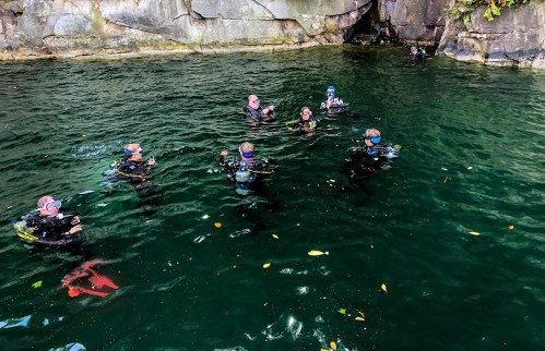 A group of divers in wetsuits exploring a green, rocky underwater area with clear water and some floating leaves.