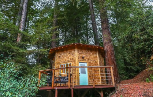 A small wooden cabin with a deck, nestled among tall redwood trees in a forested area.