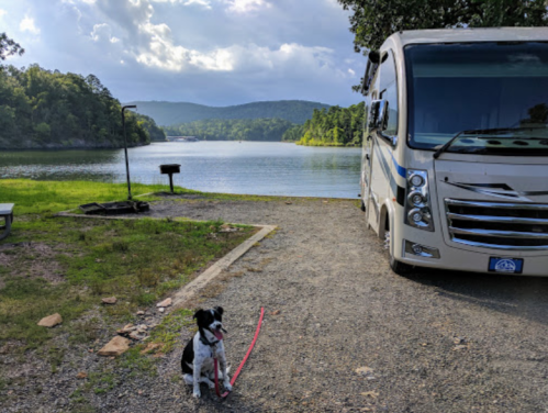 A dog sits by a parked RV near a serene lake surrounded by trees and mountains under a cloudy sky.