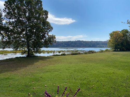 A serene landscape featuring a lake, green grass, a tree, and a clear blue sky with scattered clouds.