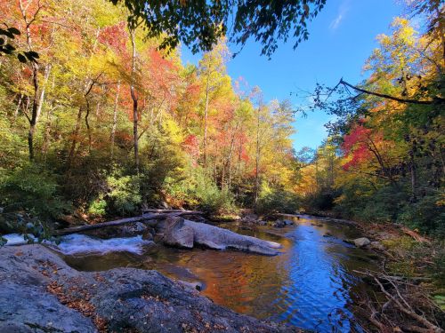 A serene river flows through a vibrant forest with colorful autumn leaves under a clear blue sky.