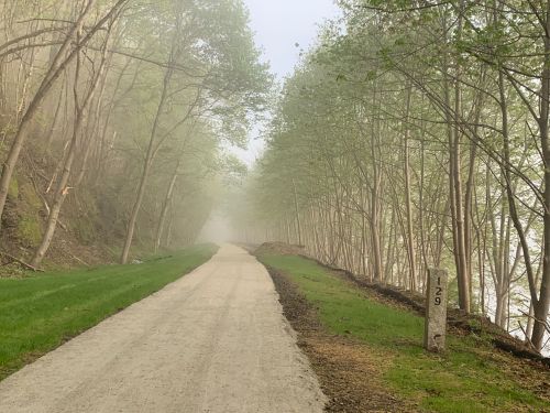 A misty path lined with trees, leading into the distance, with a stone marker labeled "129" on the right.