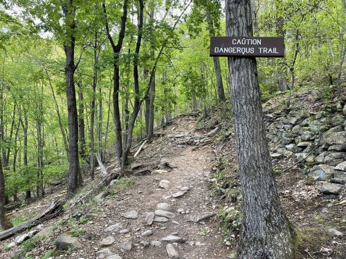 A rocky trail winds through a green forest, marked by a sign that reads "Caution: Dangerous Trail."