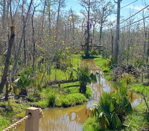 A serene landscape featuring a winding creek surrounded by lush greenery and trees, with a zip line platform in the distance.