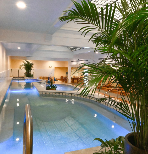 Indoor swimming pool surrounded by greenery, with lounge chairs and a bright, airy atmosphere.