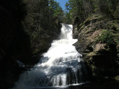 A cascading waterfall flows down rocky cliffs, surrounded by lush greenery and tall trees under a clear blue sky.