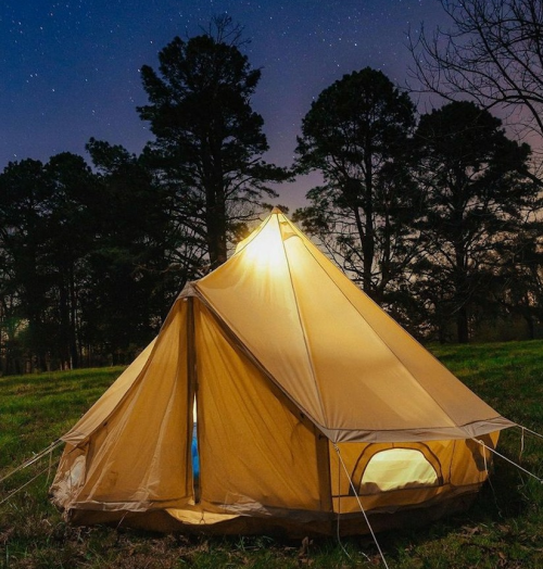A lit tent stands in a grassy area under a starry night sky, surrounded by tall trees.