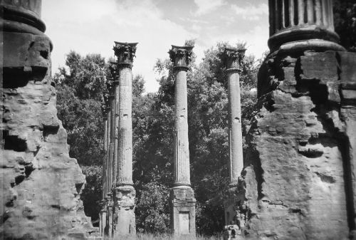 Black and white image of ancient, weathered columns amidst overgrown vegetation and crumbling stone ruins.