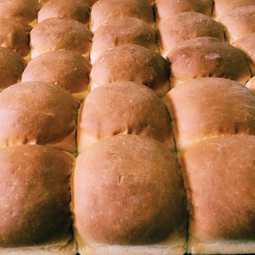 A close-up of freshly baked, golden-brown dinner rolls arranged in a neat grid pattern.