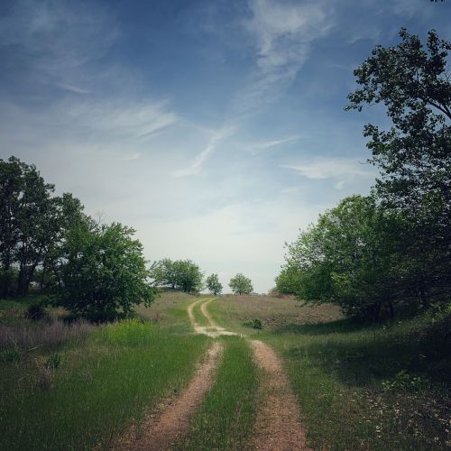 A winding dirt path through lush green grass and trees under a cloudy sky.