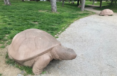 Two large stone turtle sculptures on a grassy path in a park.