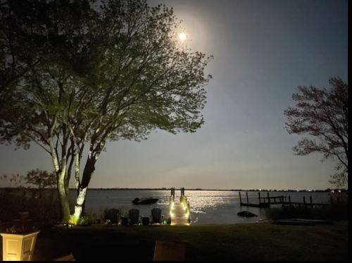 A serene night scene by the water, illuminated by moonlight, with trees and chairs in the foreground.