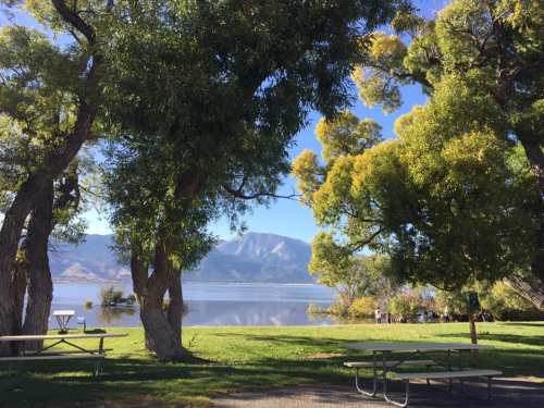 A serene lakeside scene framed by lush green trees, with mountains in the background and picnic tables in the foreground.