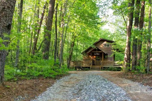 A cozy cabin nestled among tall trees, with a gravel path leading to it in a lush green forest.