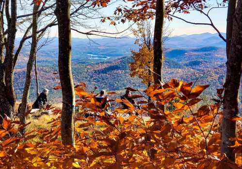 A scenic view of autumn foliage with hikers in the background, overlooking a valley and distant mountains.