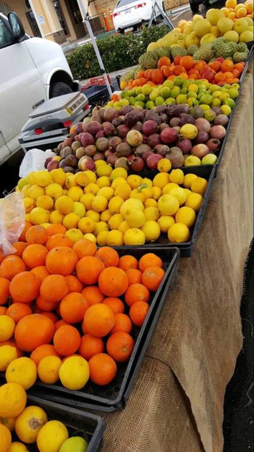 A vibrant display of various fruits, including oranges, lemons, and passion fruits, arranged on tables at a market.