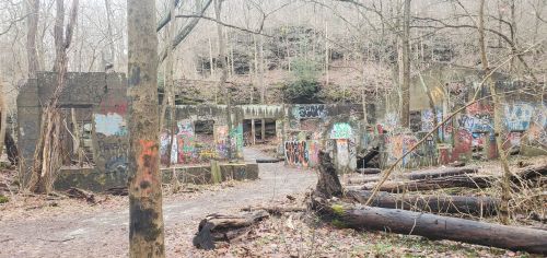 Abandoned structure in a wooded area, covered in colorful graffiti, surrounded by fallen logs and bare trees.