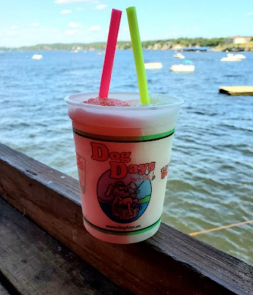 A frozen drink in a cup with "Dog Days" logo, featuring two colorful straws, with a scenic waterfront in the background.