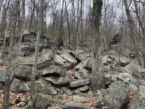 Rocky terrain with large boulders and sparse trees, set in a forested area during early spring.