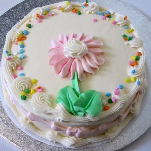 A round cake decorated with white frosting, a pink flower, green leaves, and colorful star-shaped sprinkles.