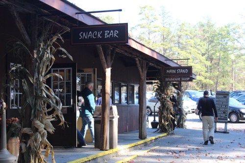 A rustic building with signs for a snack bar and souvenir shop, surrounded by autumn decorations and visitors.