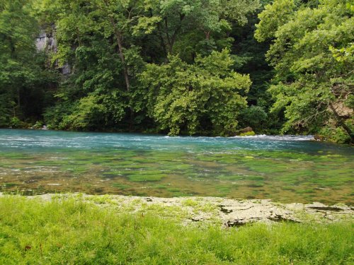 A serene river flows through lush greenery, with clear blue water and vibrant plants along the banks.