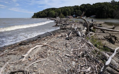 A shoreline with scattered driftwood and stones, waves lapping at the beach under a blue sky with clouds.