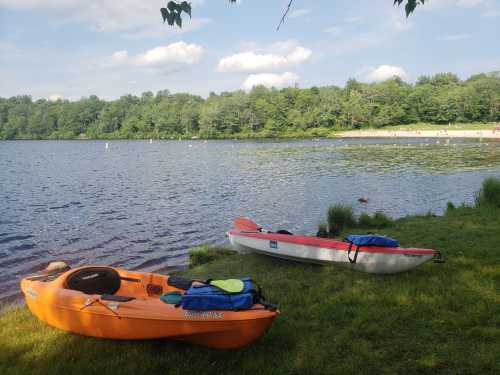 Two kayaks, one orange and one white, are parked on the grassy shore of a calm lake surrounded by trees.