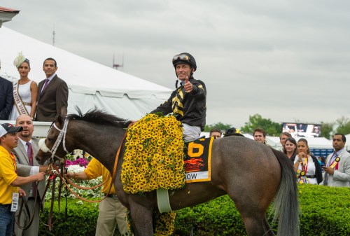 A jockey gives a thumbs-up while riding a horse adorned with yellow flowers, surrounded by spectators and event staff.