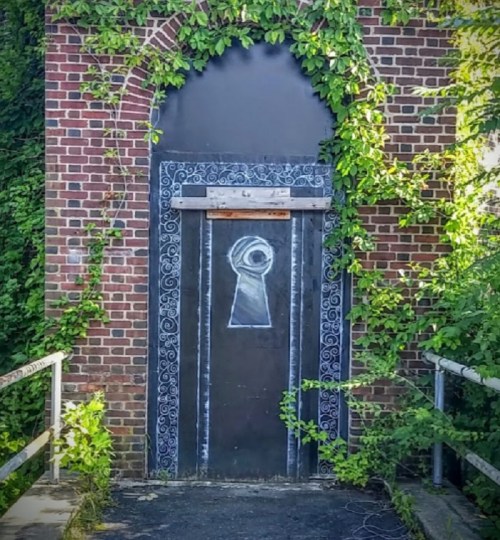 A brick wall with a door covered in ivy, featuring a chalk drawing of a keyhole in the center.