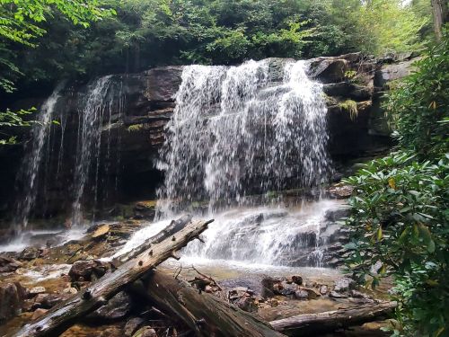 A serene waterfall cascades over rocks, surrounded by lush greenery and fallen logs in a tranquil forest setting.