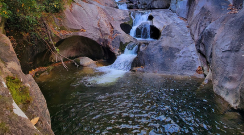 A serene waterfall cascades over smooth rocks into a tranquil pool, surrounded by lush greenery.