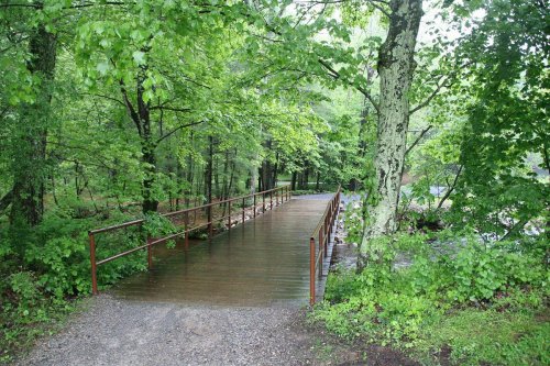 A wooden bridge surrounded by lush green trees in a rainy forest setting.