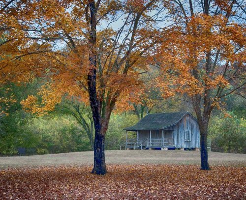 A rustic wooden cabin surrounded by vibrant autumn trees and fallen leaves in a serene landscape.