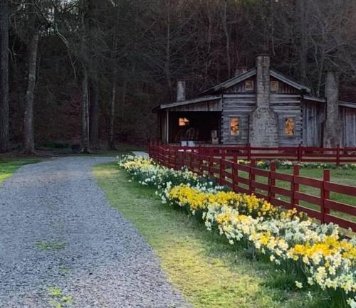 A rustic cabin with glowing windows, surrounded by a gravel path and vibrant yellow and white flowers.