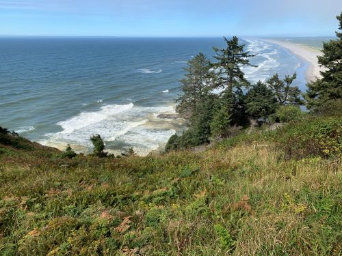 A coastal view featuring waves crashing on a sandy beach, framed by lush greenery and trees under a clear blue sky.