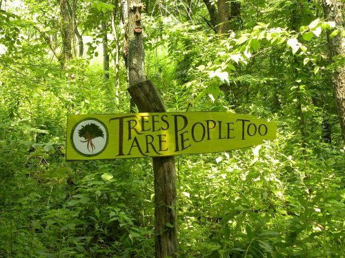 A wooden sign in a lush green forest reads, "Trees are people too," surrounded by dense foliage.